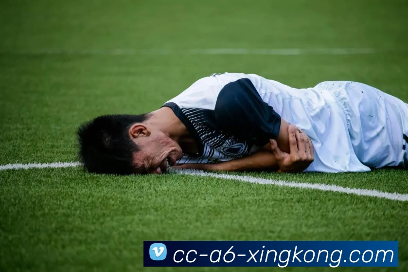 体育数据展示